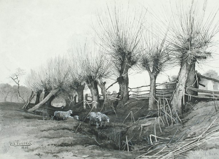Sheep Wandering through a Gully (Charles Lewis Fussell)